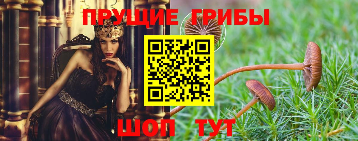 Гудермес  Псилоцибиновые грибы MAGIC MUSHROOMS  Вход с VPN 